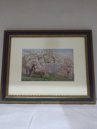 Pfirsichblüte in der Wachau