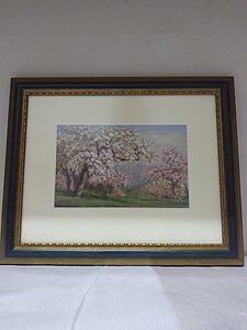 Pfirsichblüte in der Wachau